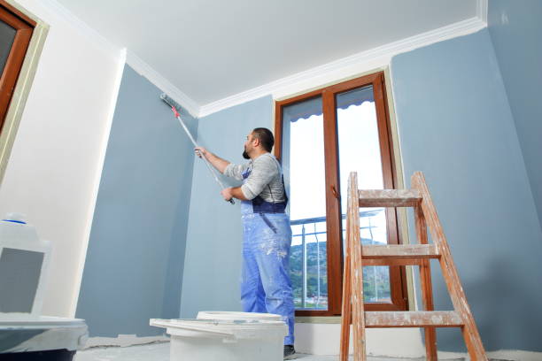 Best Mold Removal for HVAC Installations  in Dolan Springs, AZ