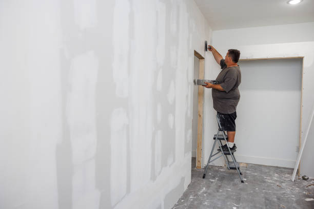 Best Attic Mold Removal  in Dolan Springs, AZ