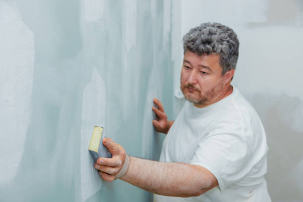 Best Water Damage & Mold Remediation  in Dolan Springs, AZ