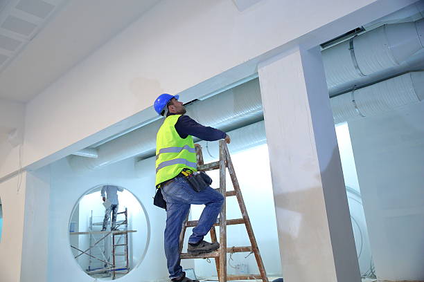 Best Air Quality Testing for Mold Spores  in Dolan Springs, AZ